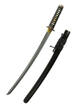 Hanwei, Shinto Wakizashi