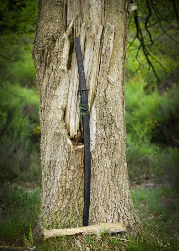 Dragon King Modern Katana Bo-Hi