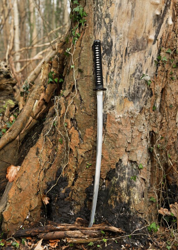 Dragon King Kohaku Katana