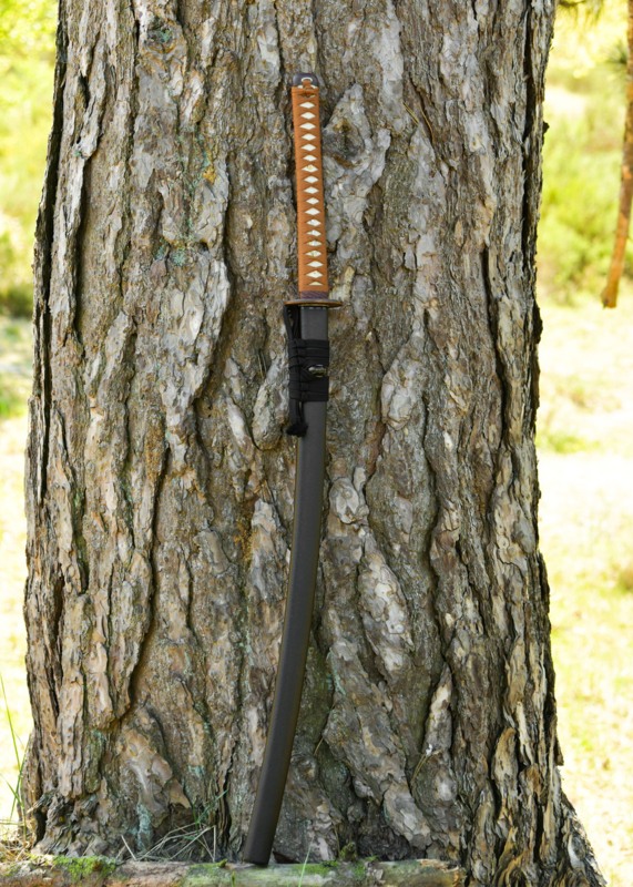 Dragon King Fletching Katana