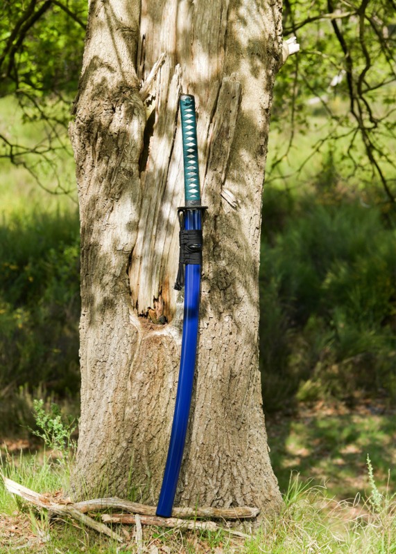 Dragon King War Horse Katana