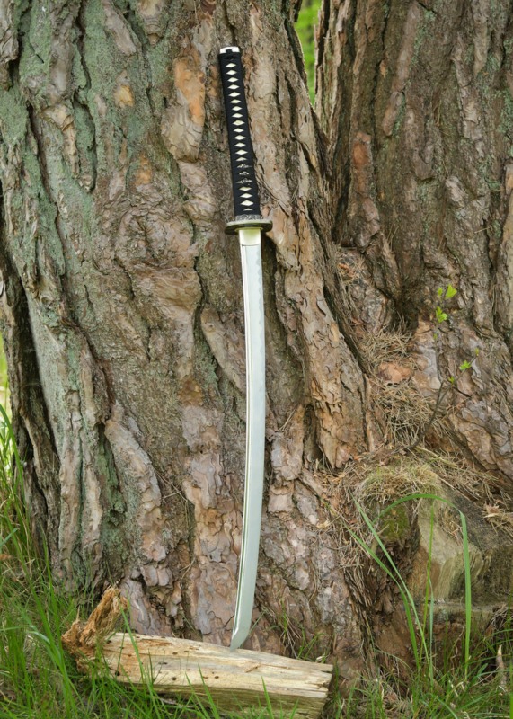 Dragon King Kawanakajima Katana