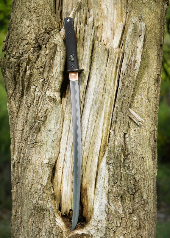 Dragon King Modern Wakizashi