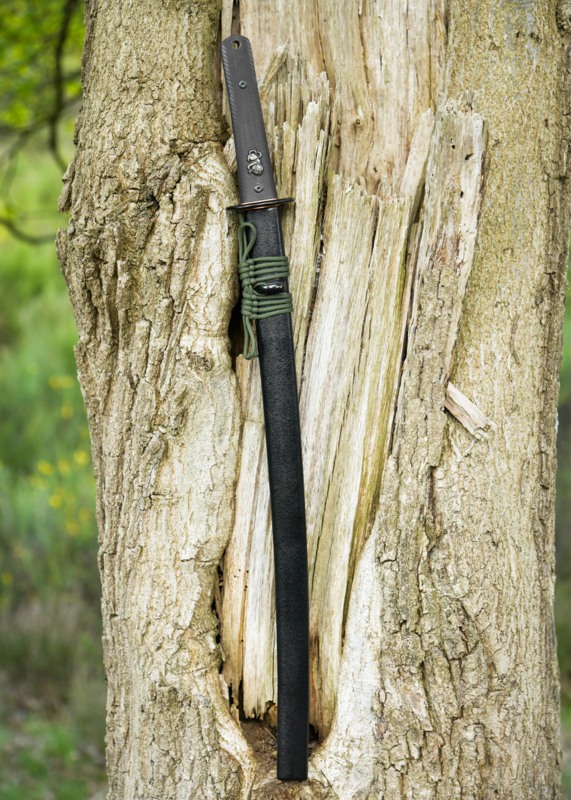 Dragon King Modern Wakizashi