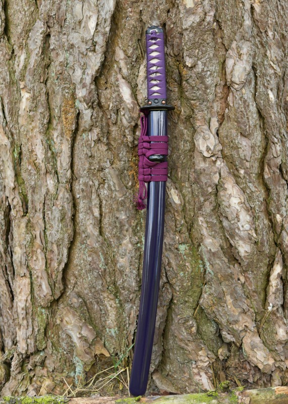 Dragon King Lotus Seed Wakizashi
