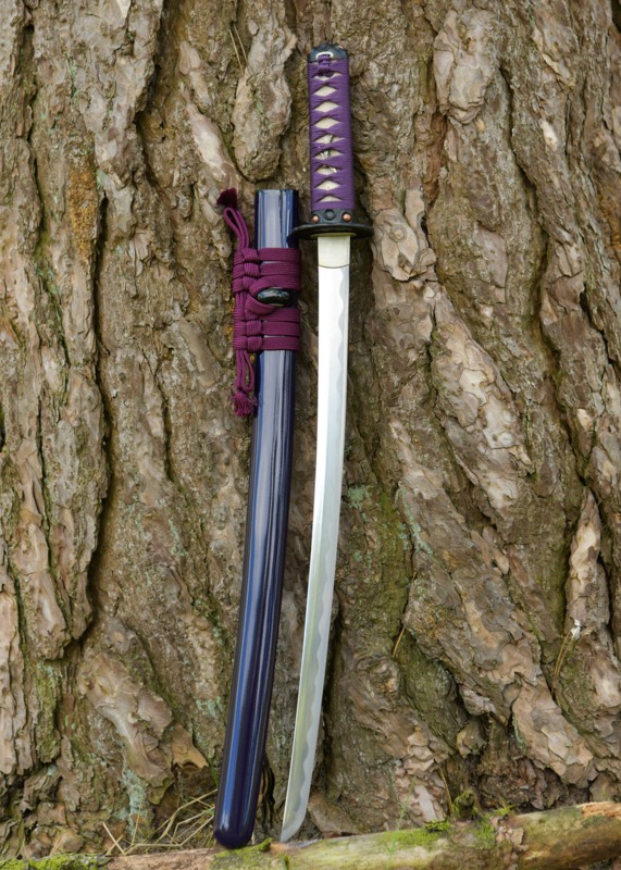Dragon King Lotus Seed Wakizashi