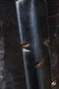 Battleworn Squire Sword - 85 cm Klinge