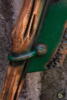 Bush Hook - 97 cm - Green - Øksehoved