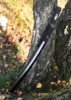 BattleBlades, Gokudo Aikuchi