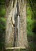 Dragon King Modern Katana Bo-Hi