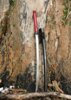 Dragon King Spring Sakura Katana