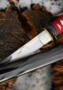 Dragon King Spring Sakura Katana - Habaki