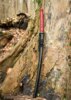 Dragon King Spring Sakura Katana Forged