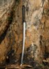 Dragon King Summer Lotus Katana