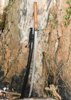 Dragon King Autumn Leaf Katana Forged