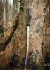 Dragon King Winter Katana