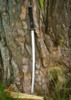 Dragon King Shi Katana