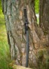 Dragon King Shi Katana