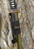 Dragon King Pine Crane Katana - Sageo