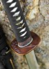 Dragon King Pine Crane Katana - Tsuba