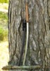 Dragon King Fletching Katana