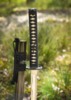 Dragon King Yanone Katana - Tsuba