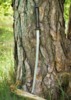 Dragon King War Fire Katana