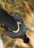 Dragon King War Fire Katana - Tsuba