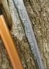 Dragon King Shi Shi Botan Katana (Kinryu Katana) - Klinge med indgravering