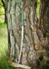 Dragon King Yaksha Katana