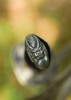 Dragon King Kawanakajima Katana - Kashira
