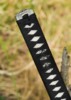 Dragon King Kawanakajima Katana - Menuki
