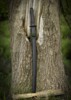 Dragon King Modern Wakizashi Bo-Hi