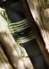 Dragon King Modern Wakizashi Bo-Hi - Sageo