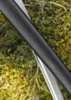 Dragon King Modern Wakizashi Bo-Hi - Saya