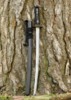 Dragon King Pine Crane Wakizashi