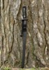 Dragon King Pine Crane Wakizashi