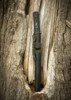 Dragon King Modern Tanto