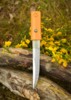 Dragon King Bamboo Tanto