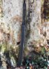Hanwei Banshee Sword - Samlet