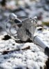 Hanwei Practical Mortuary Sword SK-B - Hilt
