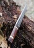 Battle Merchant Beagnoth Seax - Greb