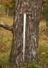 Battle Merchant Writhen Hilt Bastardsværd